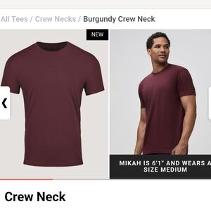 Fresh Clean Tees Garnet Tall Crew Neck- 2XLT